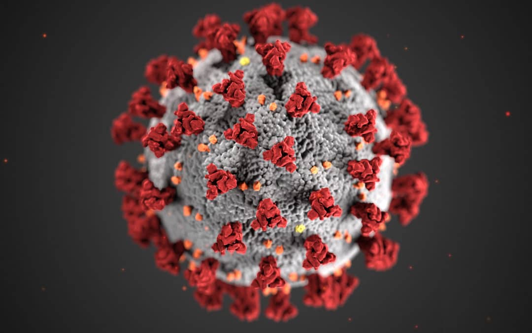 Coronavirus : avis de fermeture